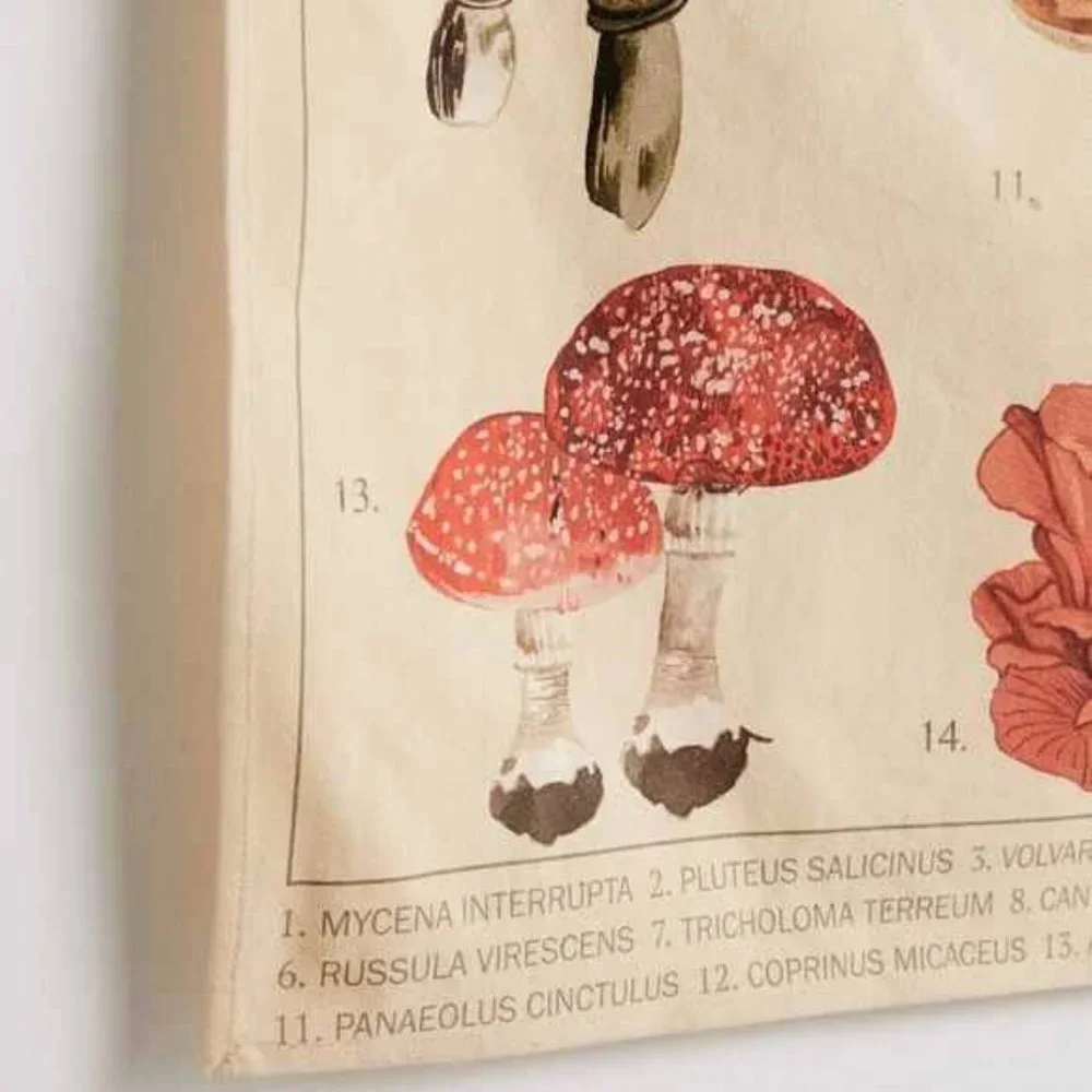 Mushroom Varieties Chart Tapestry Wall Decor